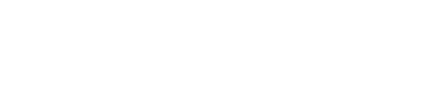 wellstarwhitelogo